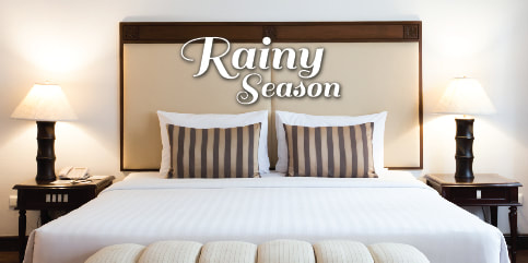 Rainy Season Promotion